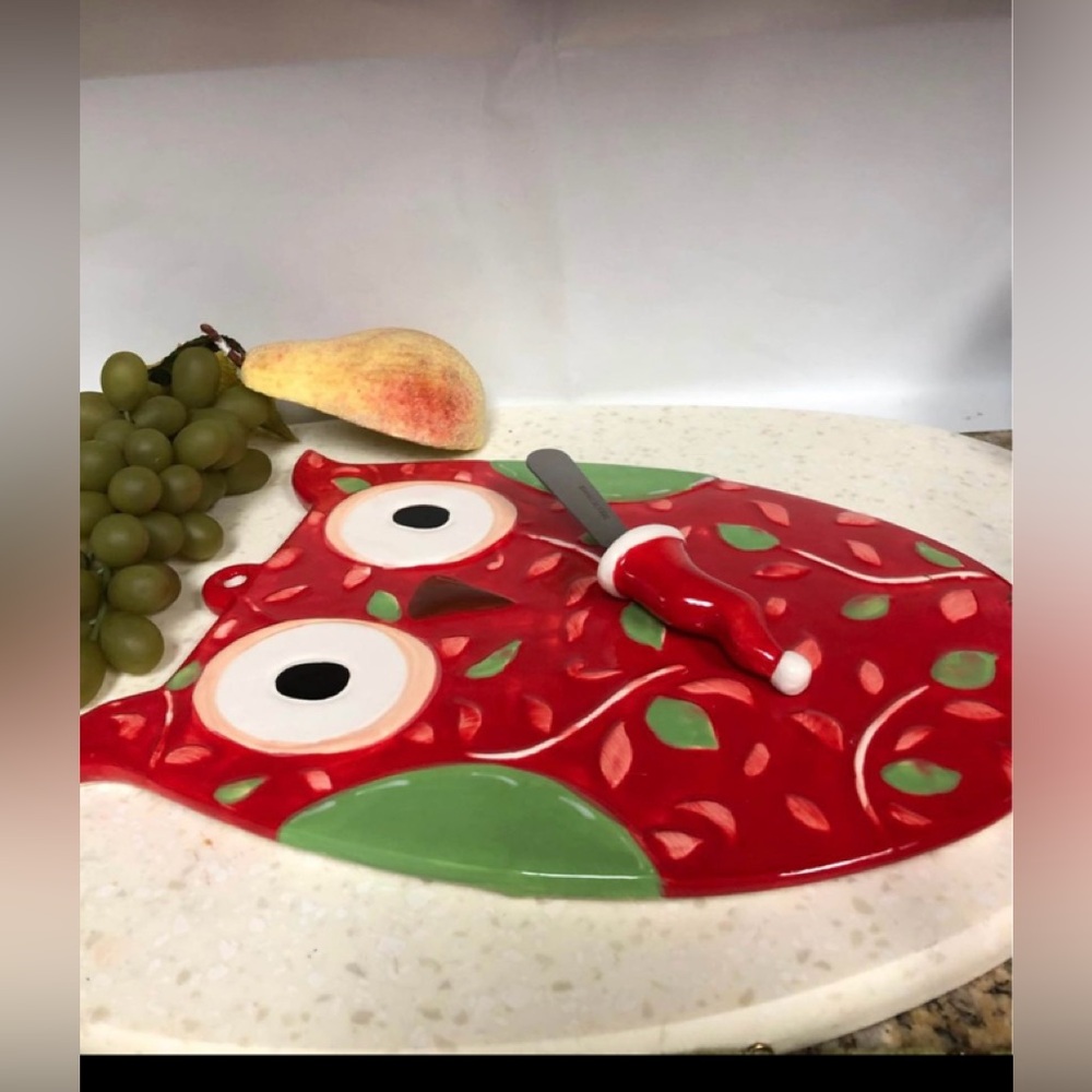 Christmas Ceramic colorful Serving Tray owl shaped